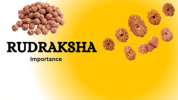 Importance of Rudraksha Faces According to Astrology