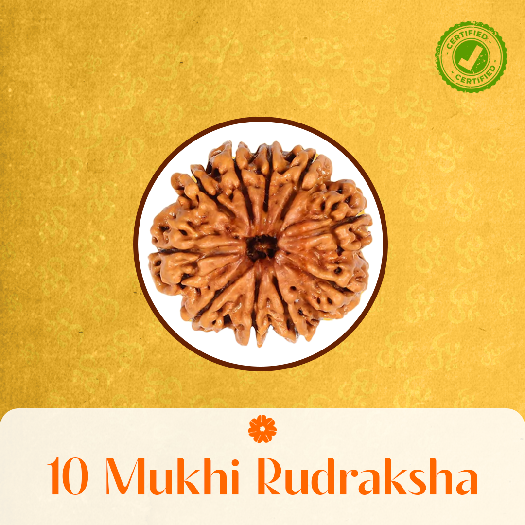 10 Mukhi Rudraksha
