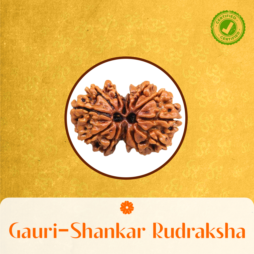 Gauri Shankar Rudraksha