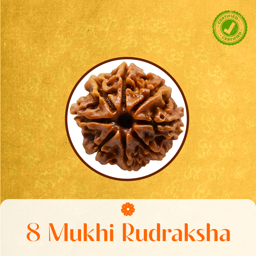 8 Mukhi Rudraksha