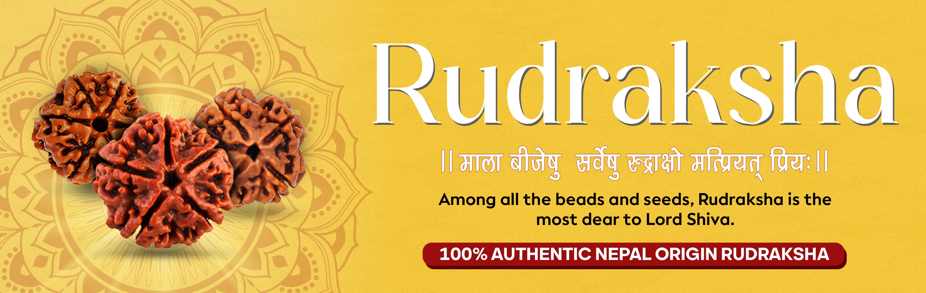 slider image 1621243260e1af0c20-0