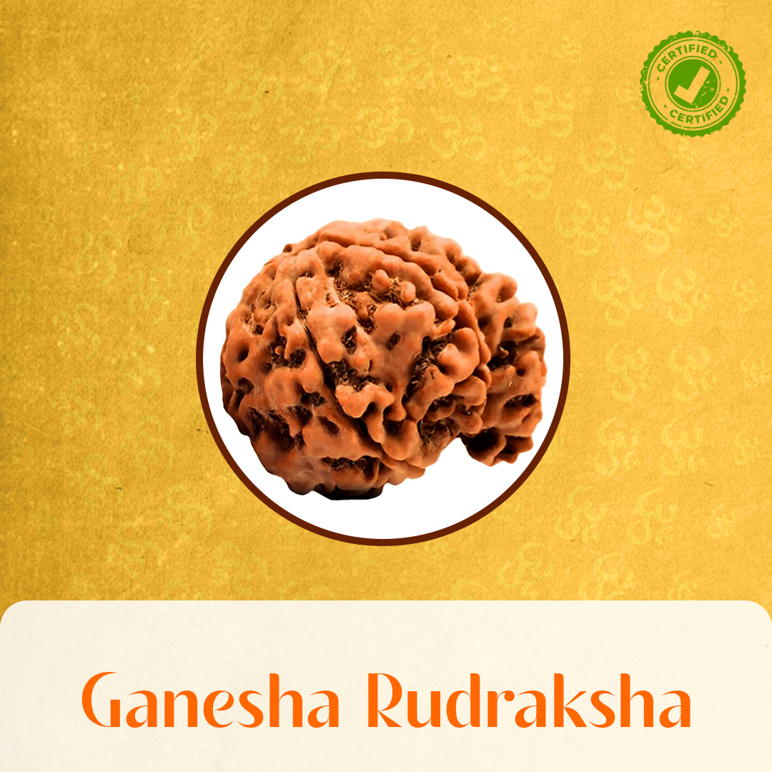 Ganesh Rudraksha