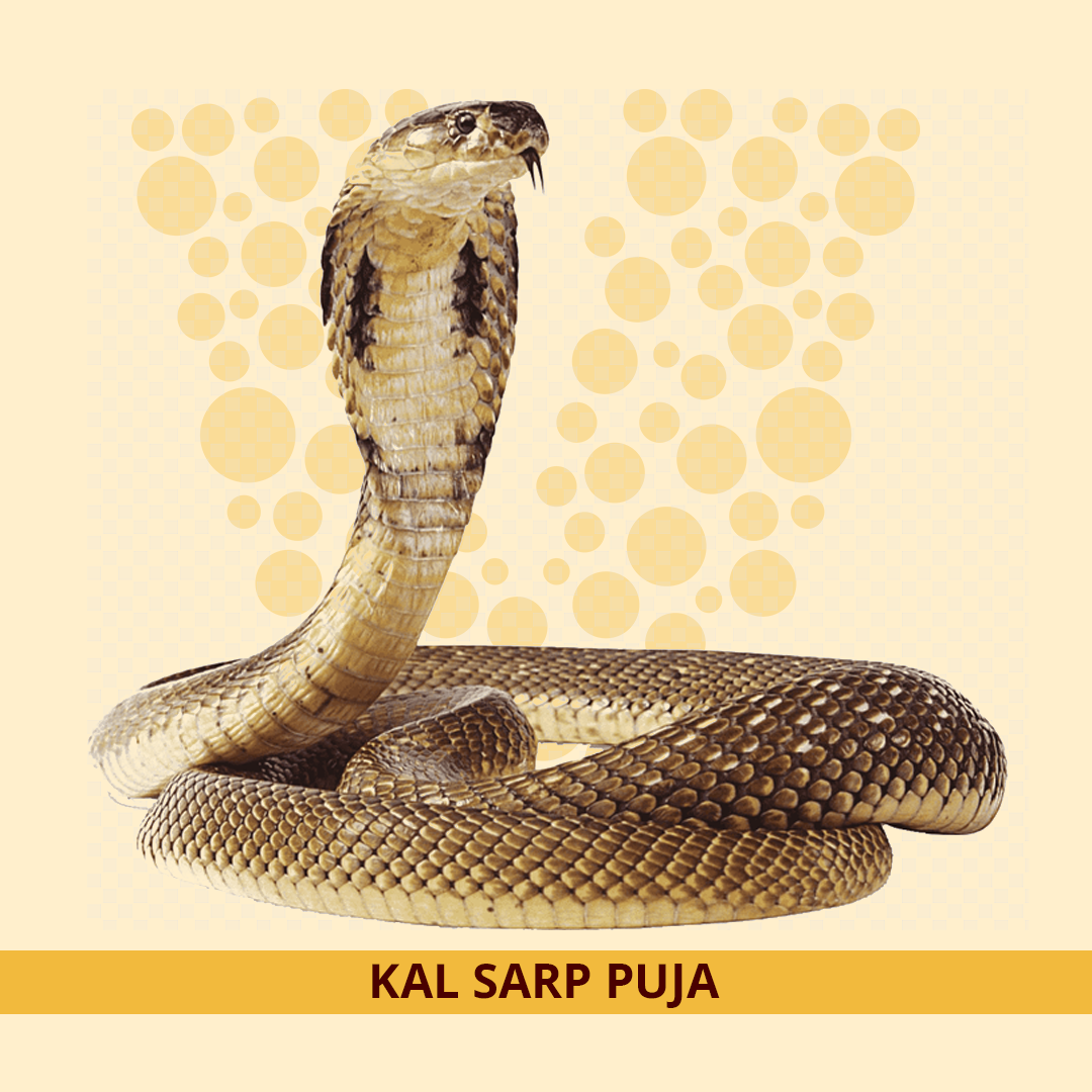 Kaal Sarp Puja